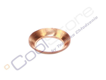 Copper gasket 1/4" SAE